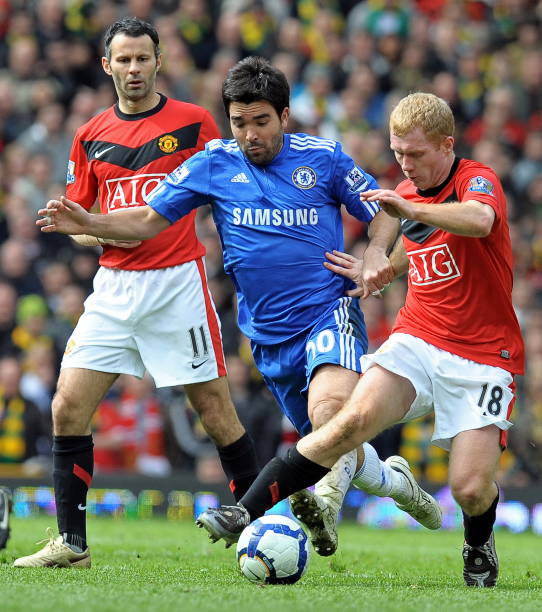 许多成熟的 许多成熟的