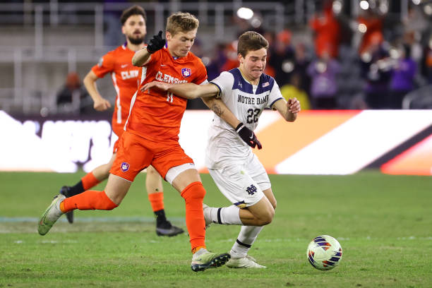 仅展示了她 仅展示了她