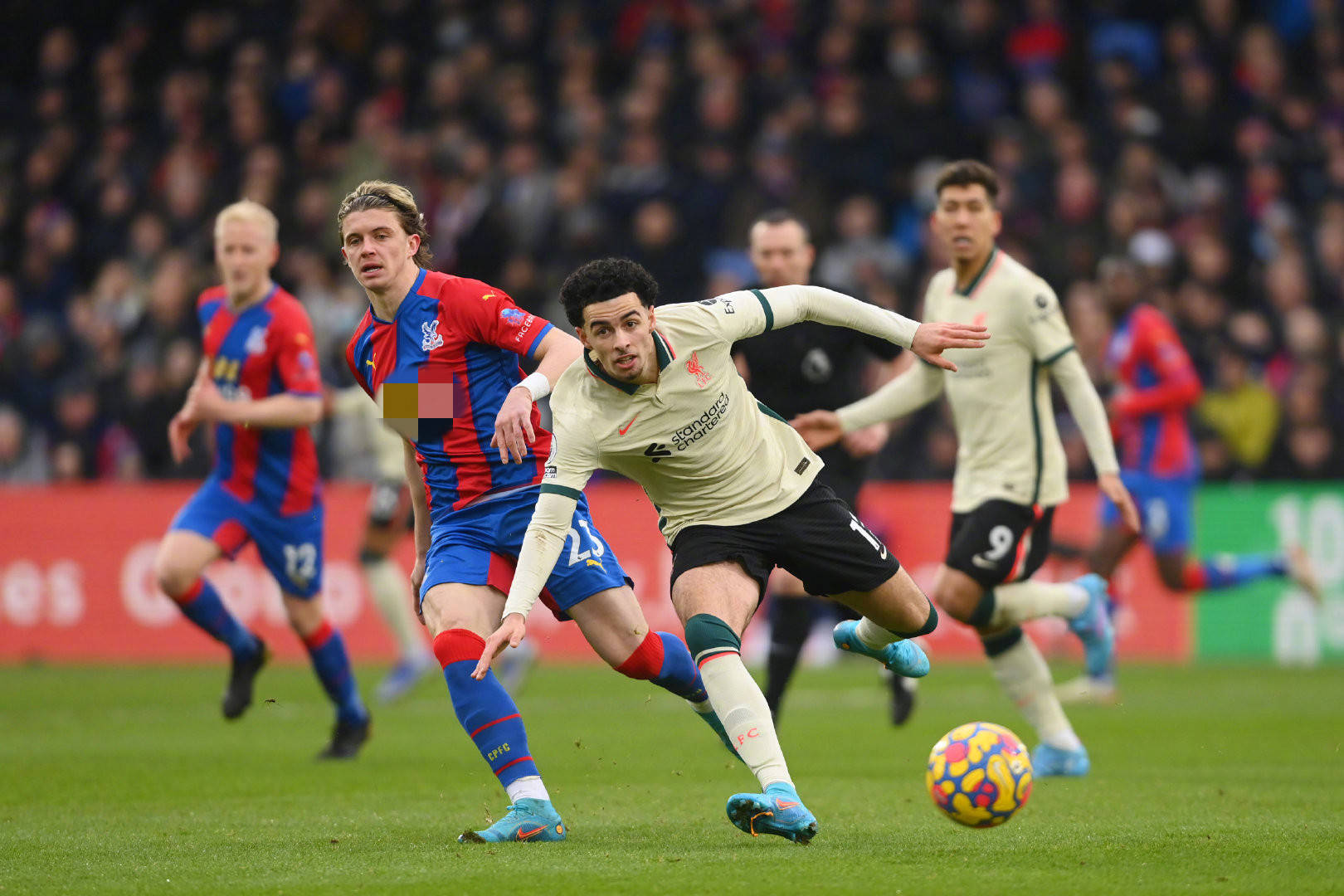 证明自己 证明自己