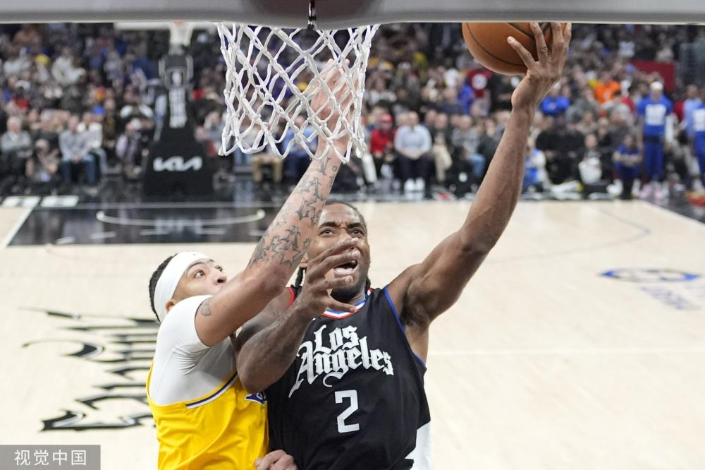 公信力的根 公信力的根